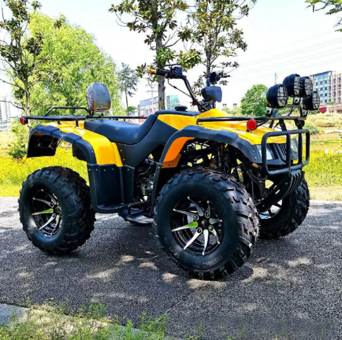 250cc Four-Wheel Drive ATV  Quad ATV Farmer Quad Bike